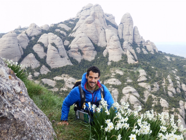 Entre las flores de la cima